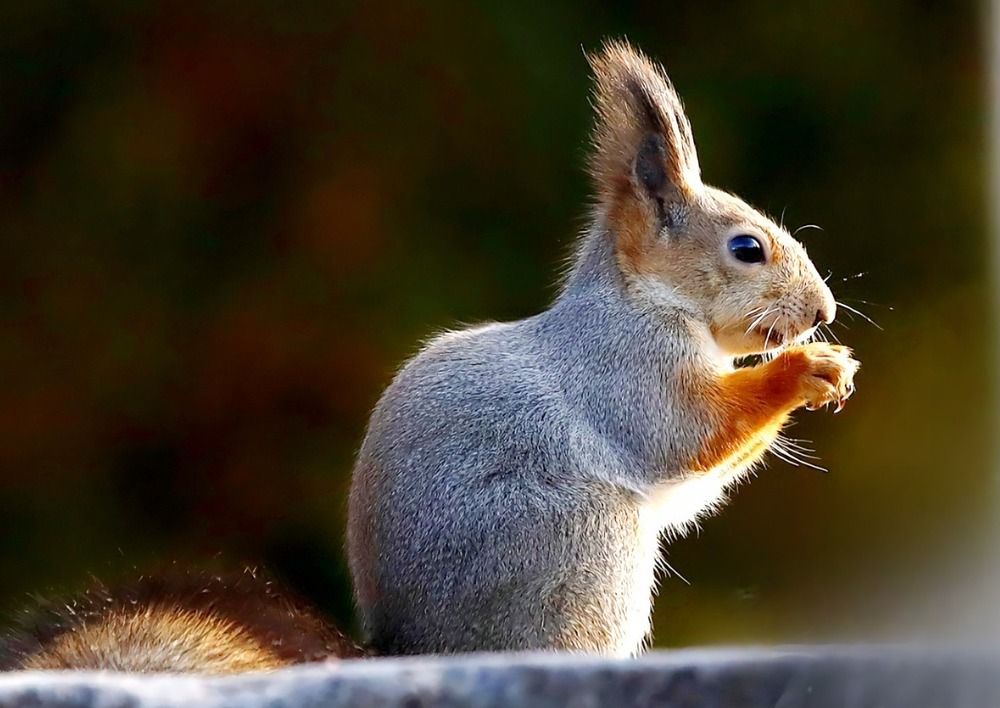 Photograph by Татьяна Слесарева