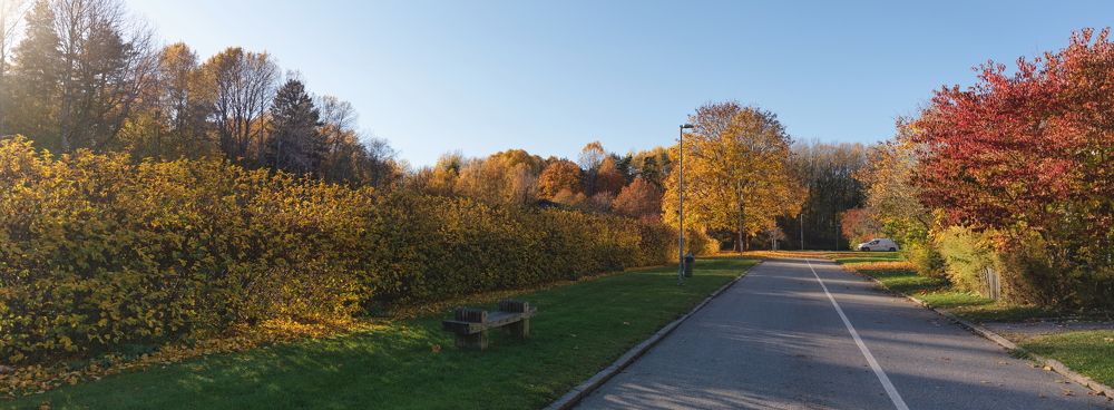 Photograph by Radio indie.