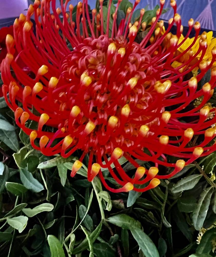 Photograph by Eugenia Schmidt