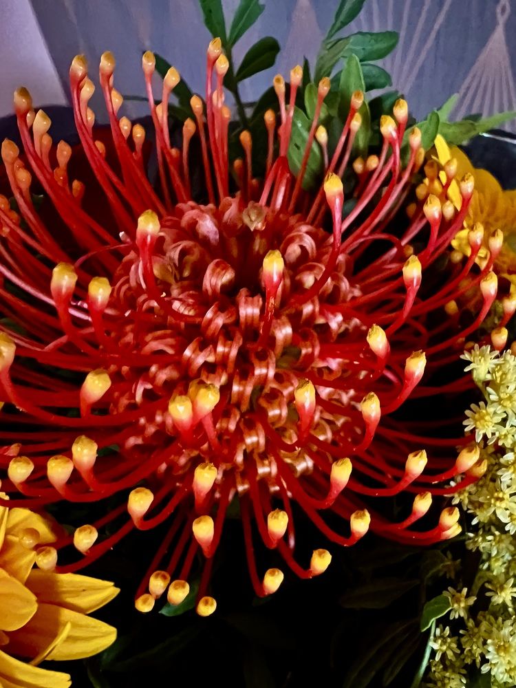 Photograph by Eugenia Schmidt