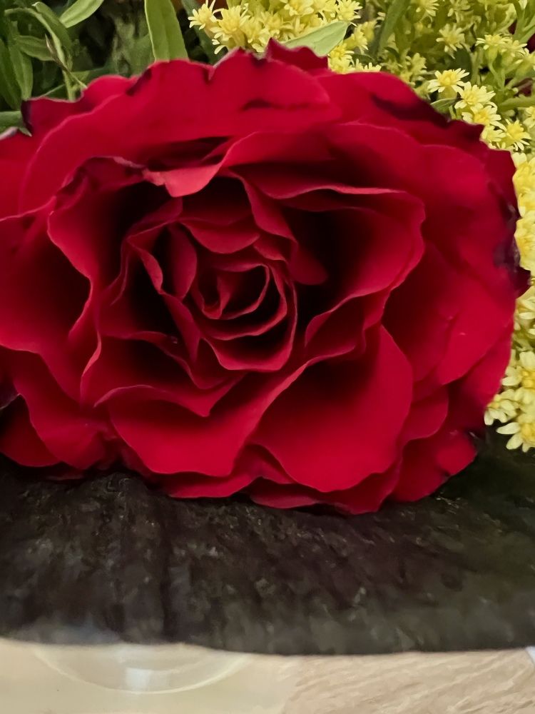 Photograph by Eugenia Schmidt