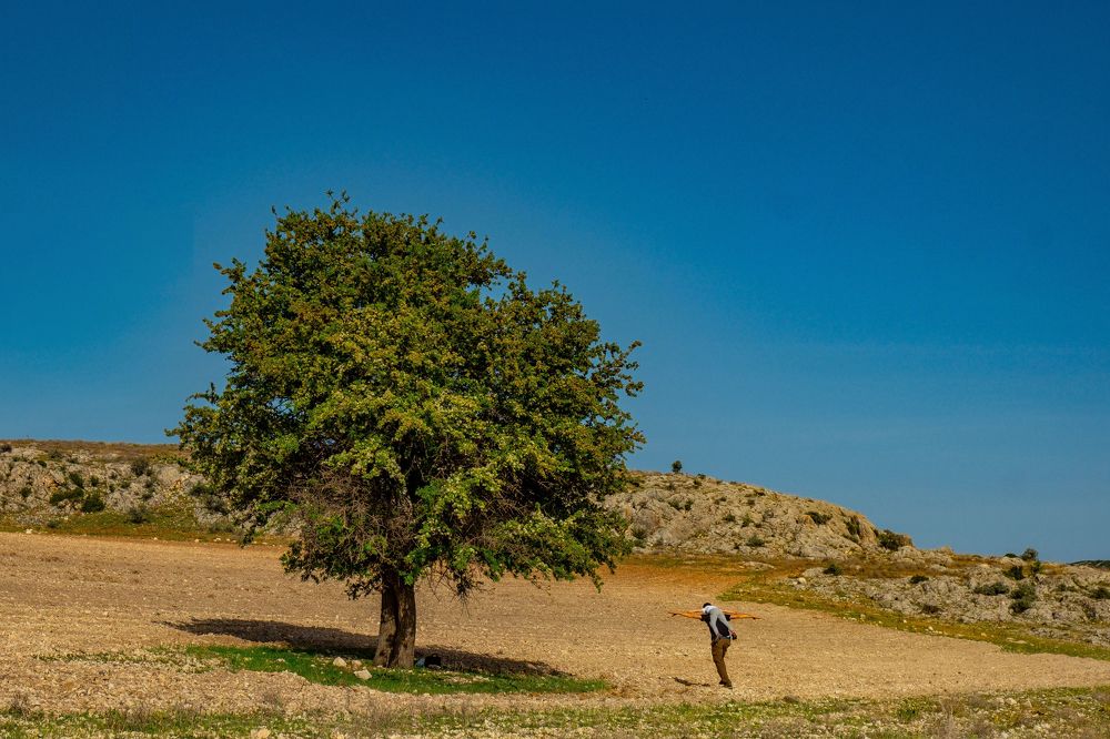 Photograph by Adem Albayrak