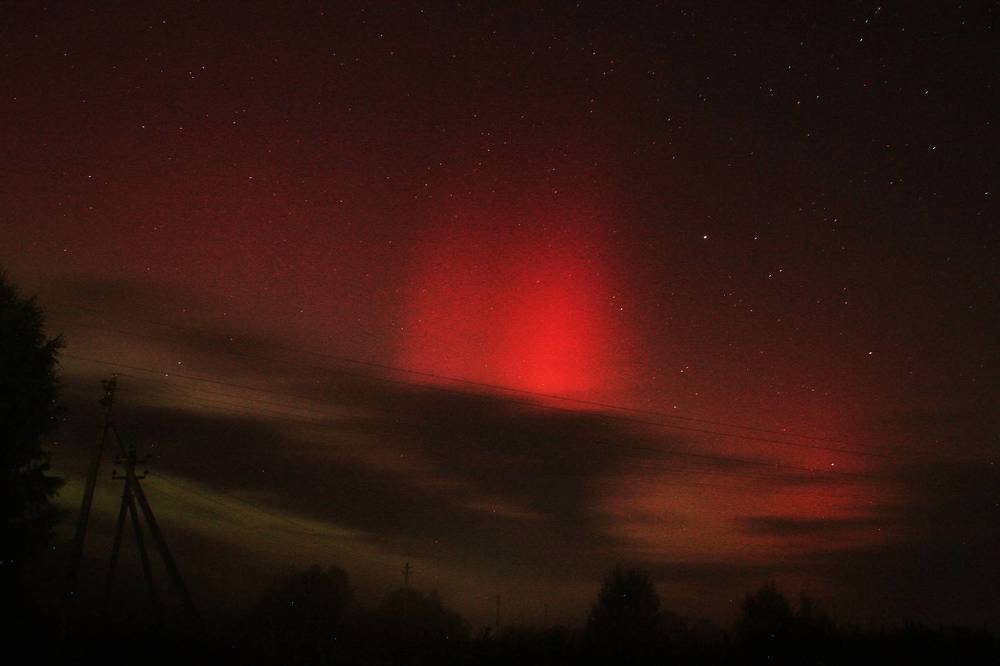 Фотография автора Светлана Терехова