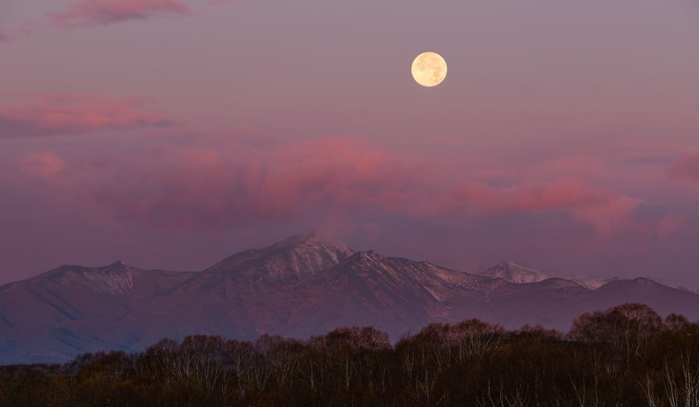 Photograph by Максин Александр