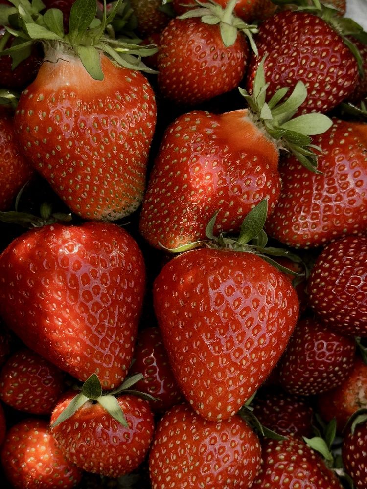 Photograph by Дулова Анастасия