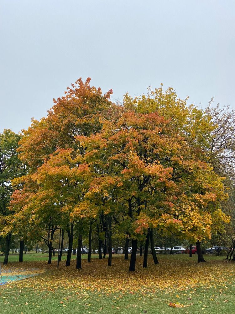 Photograph by Елена
