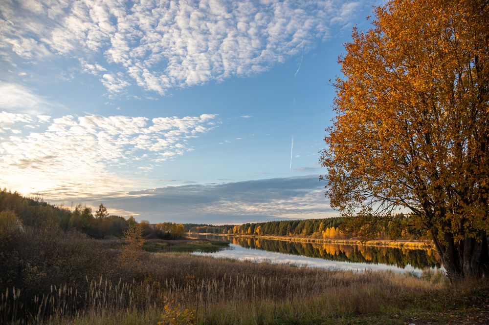 Photograph by Илья Сторожко