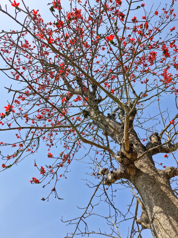 Photograph by Souradip Dey