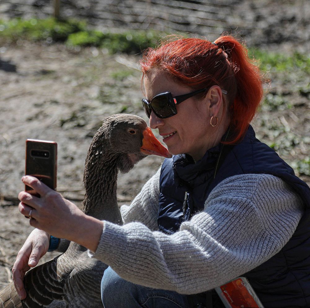 Photograph by Дмитрий Воробьёв