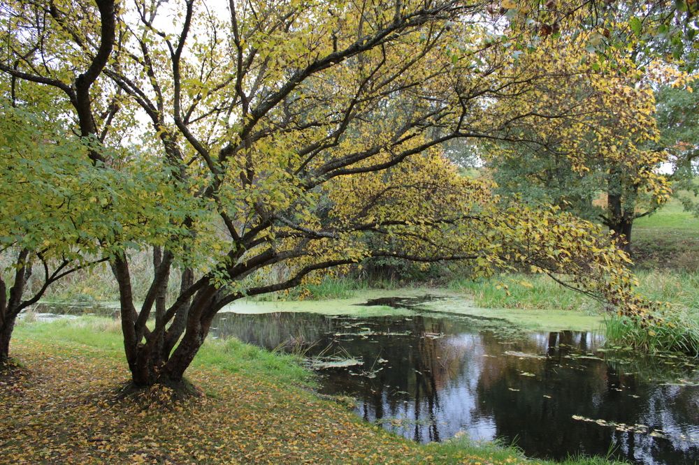 Photograph by Анна Янчилина