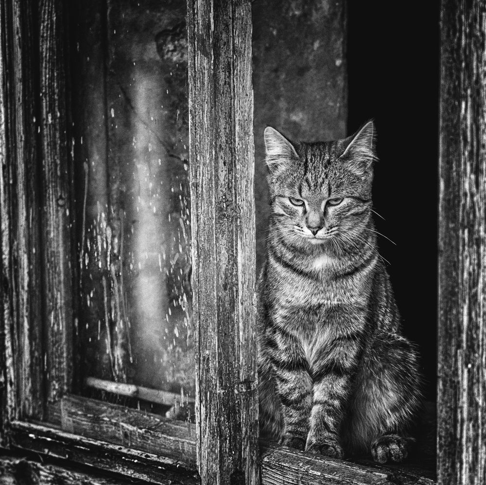 Photograph by Олег Белан