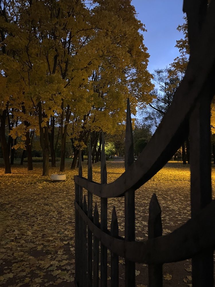 Фотография автора Анна Беднякова