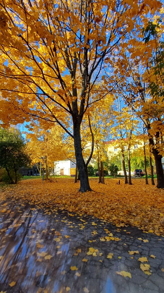 Photograph by Елена Воронова