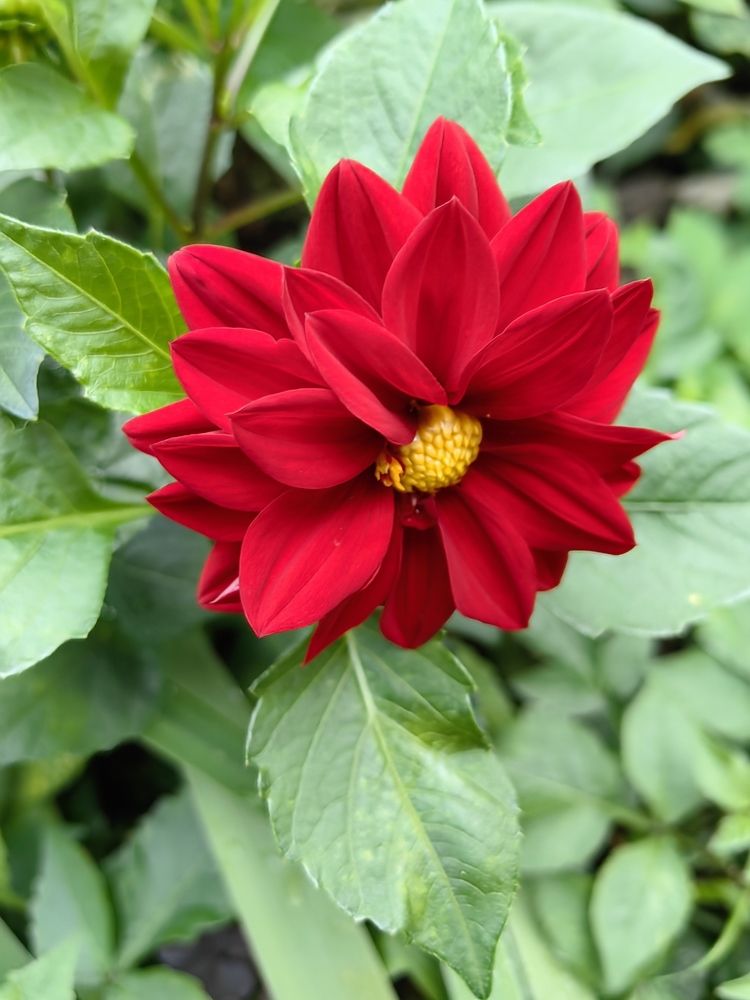 Фотография автора Olga Golubkova