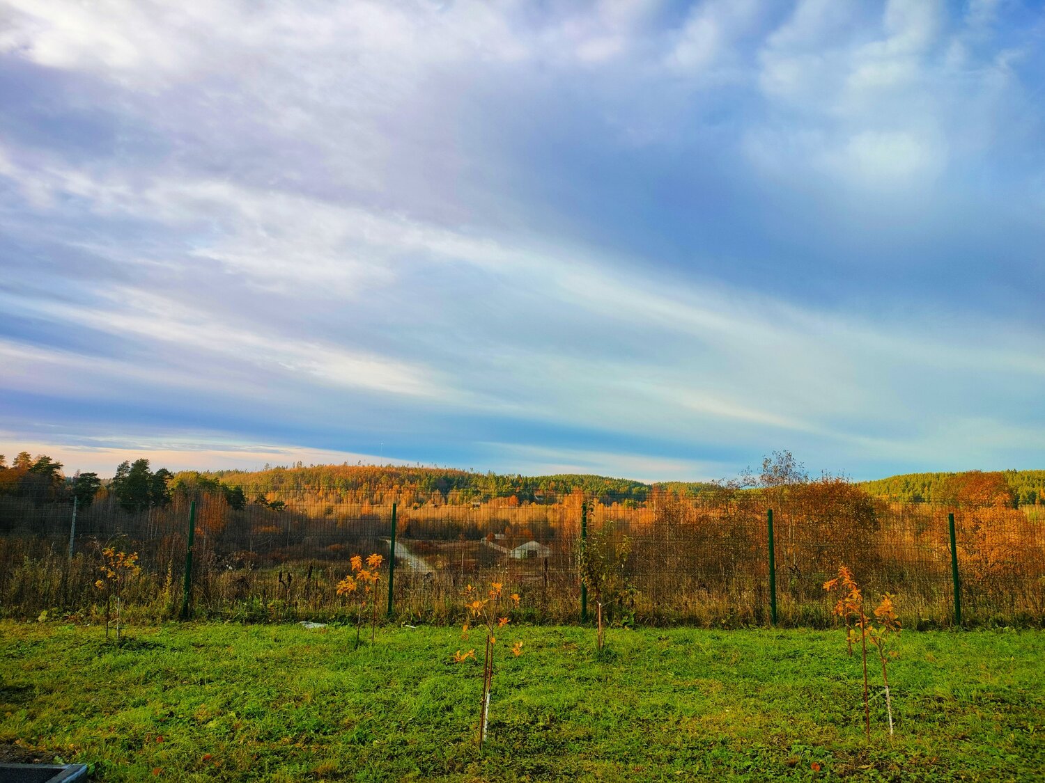 Photo #11202926