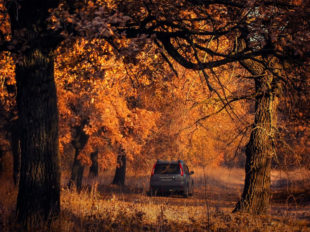 Photograph by Виктор Карпухин