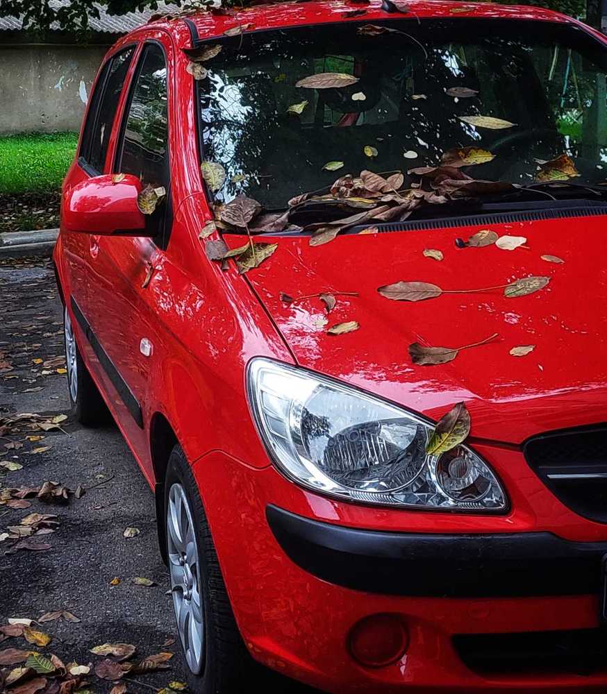 Photograph by Svitlana Usatenko