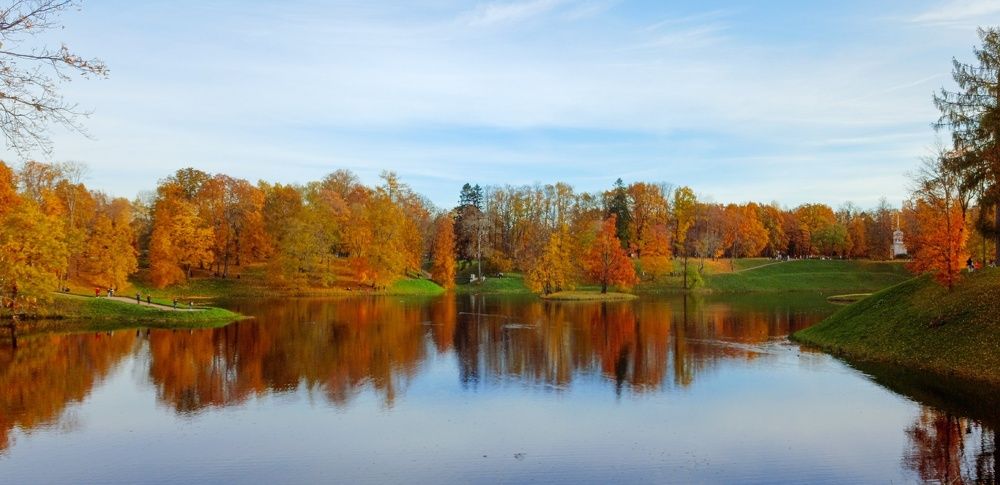 Фотография автора Valerya Vasileva