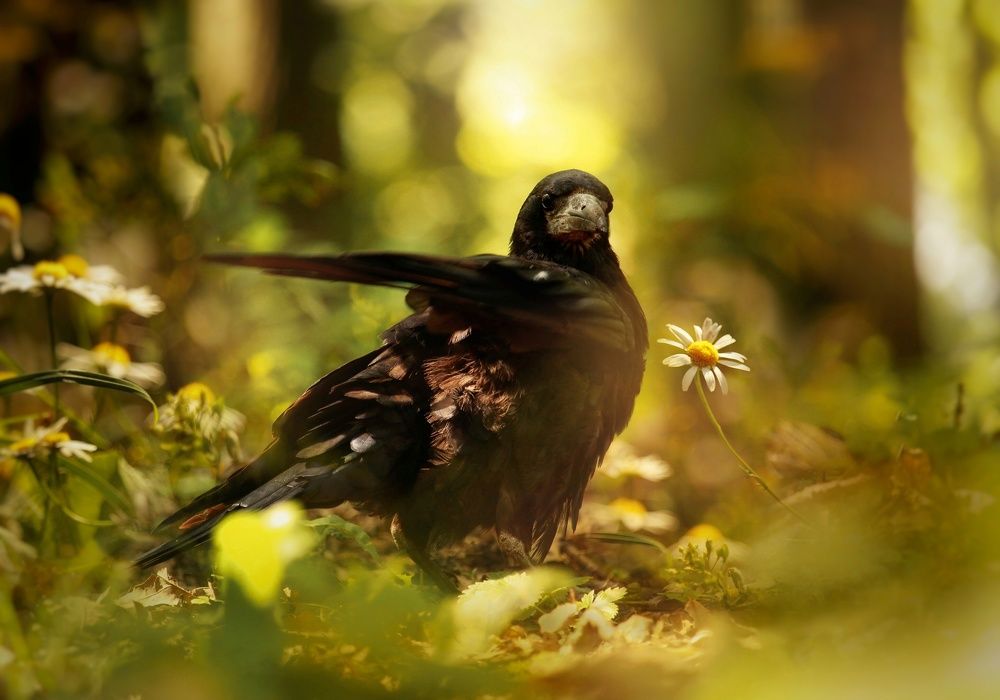 Photograph by Элина Абакумова