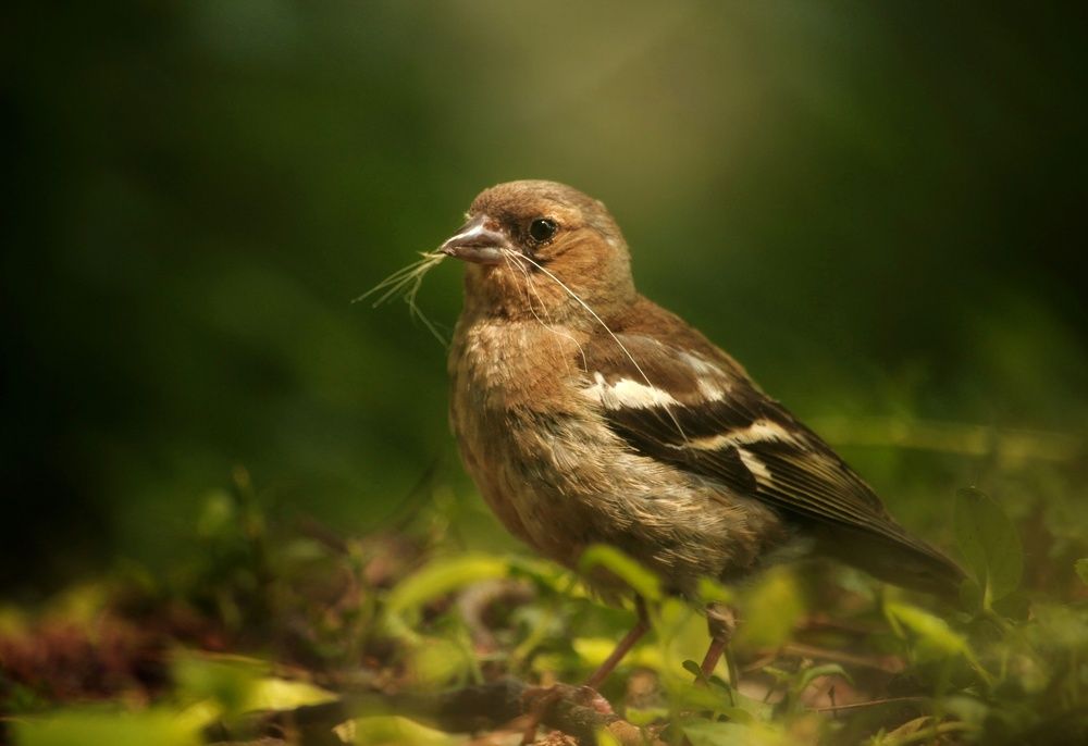 Photograph by Элина Абакумова