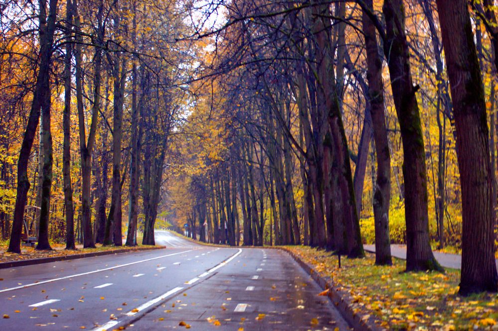 Photograph by Marina Mossiy