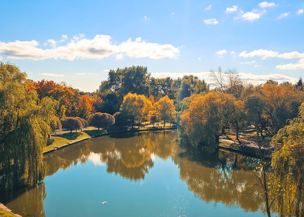 Фотография автора Ольга Шишук