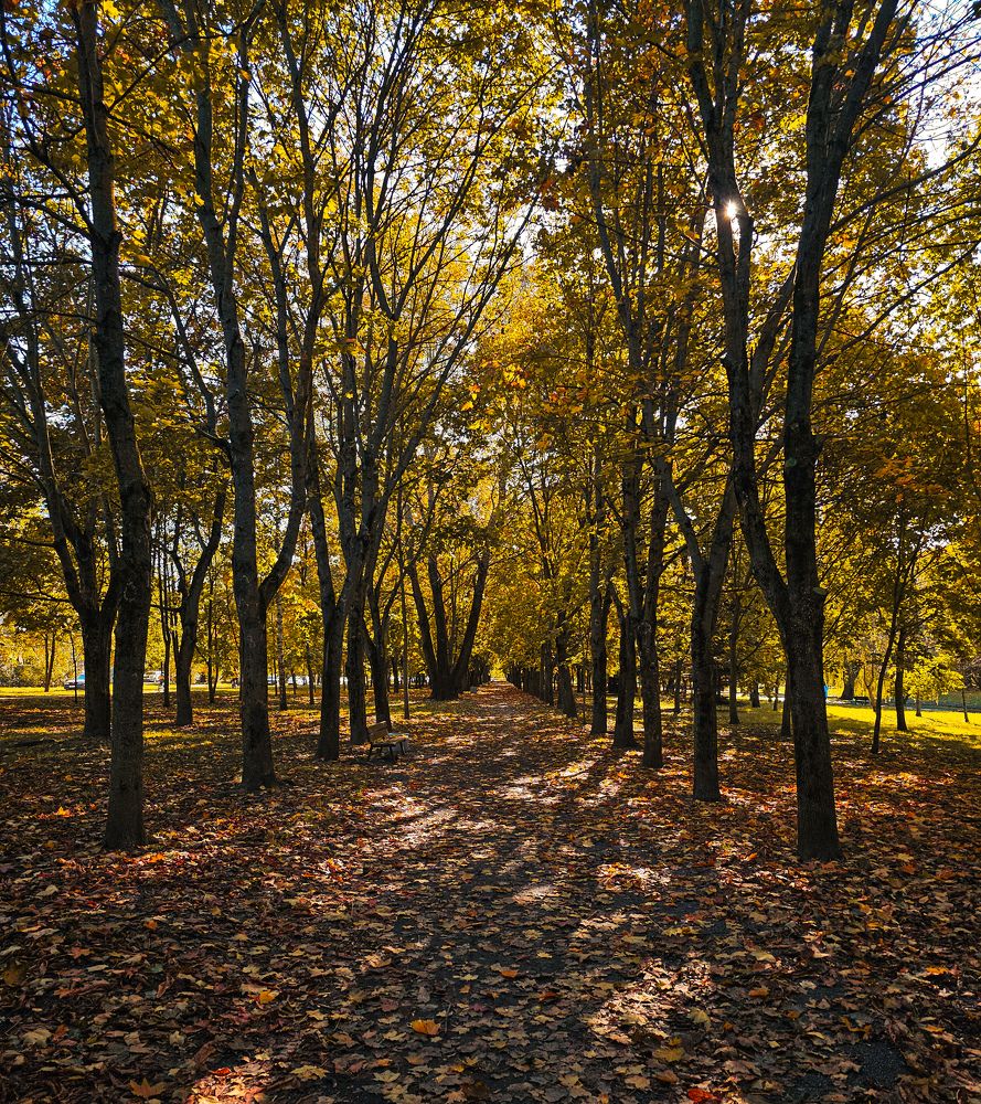 Фотография автора Ольга Шишук