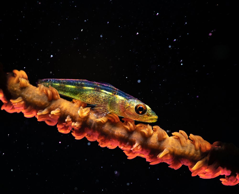 Photograph by Magali Márquez