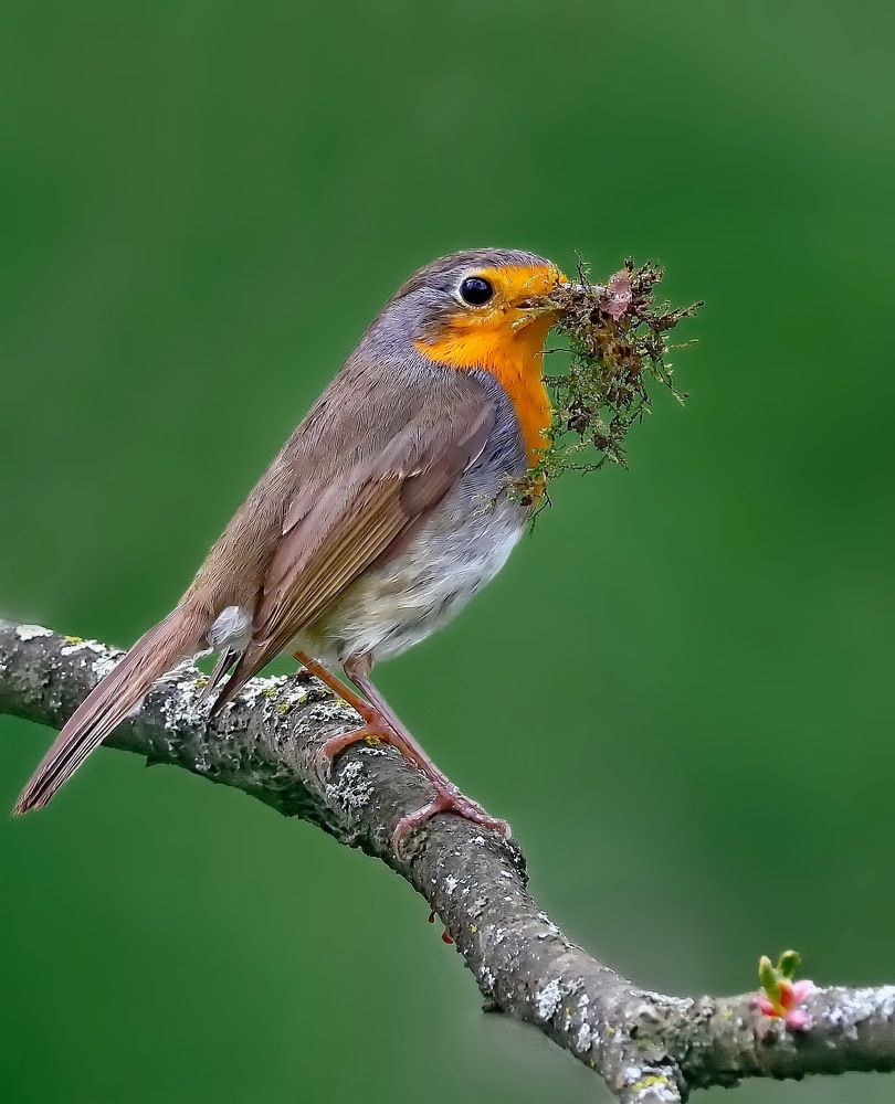Маленький архитектор большого мира.