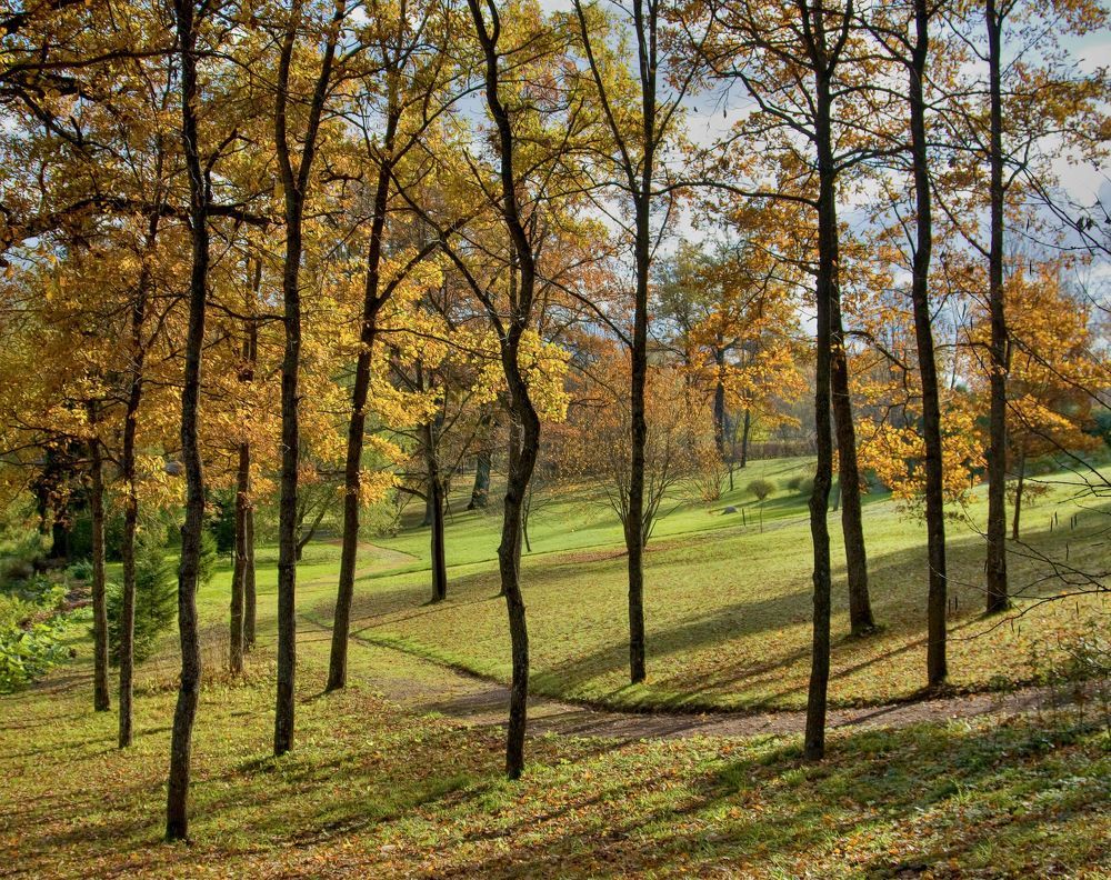 Photograph by Александр К