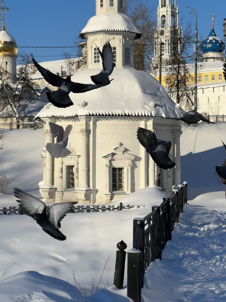 Photograph by Наталья Сережко