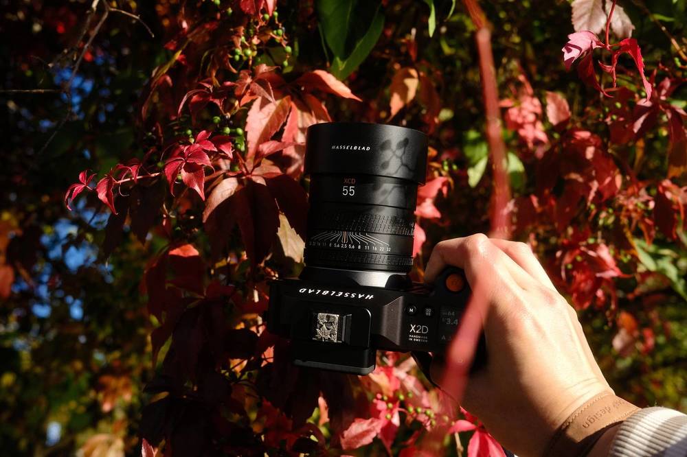 Фотография автора Hao Vu