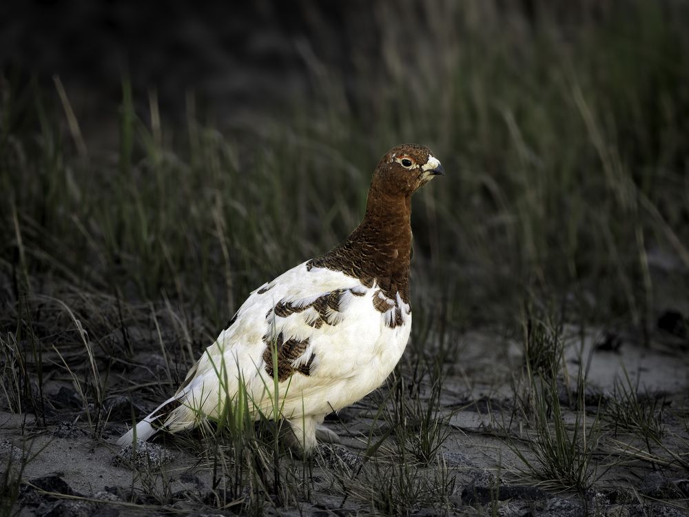 Фотография автора Straand2614