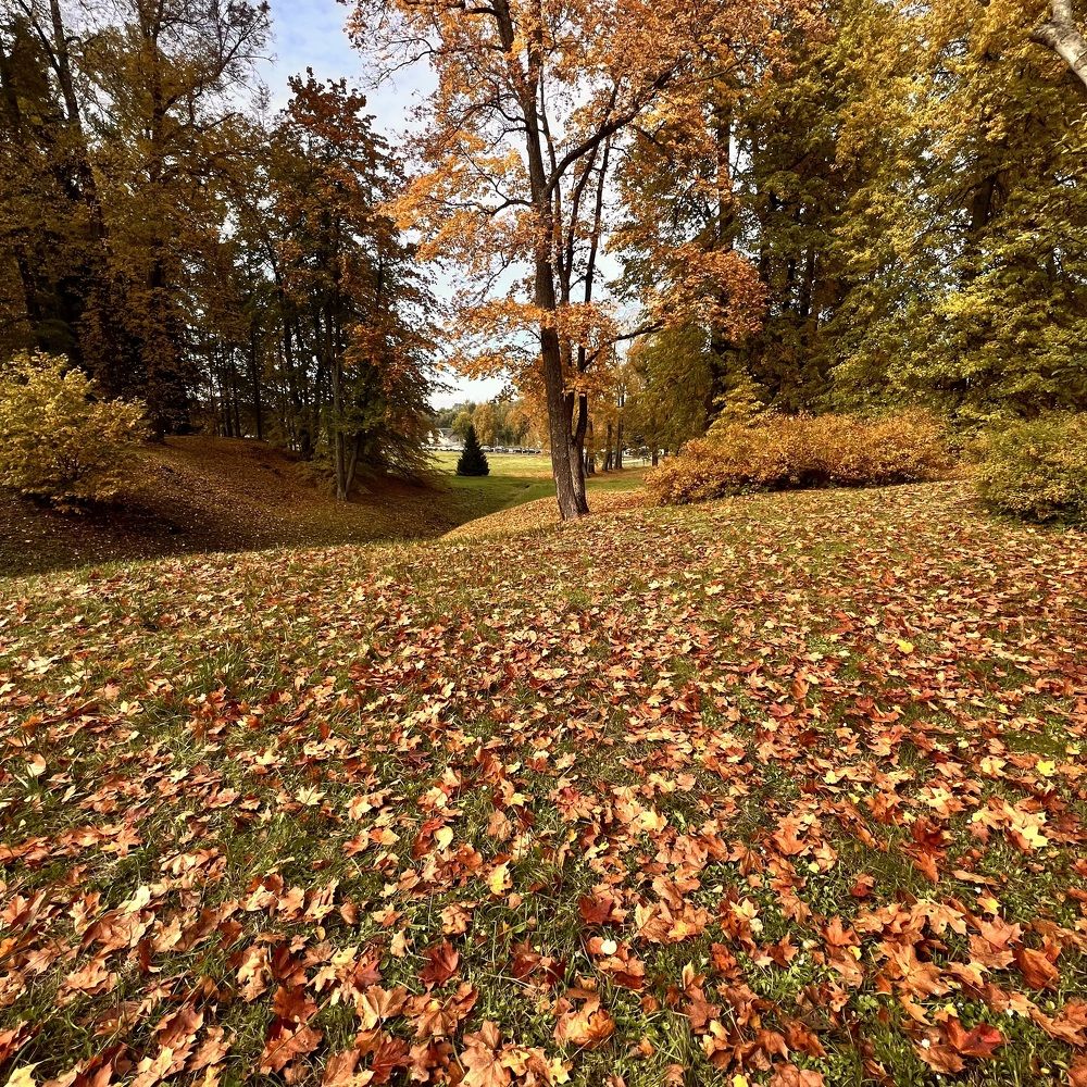 Photograph by Анна Шанёва