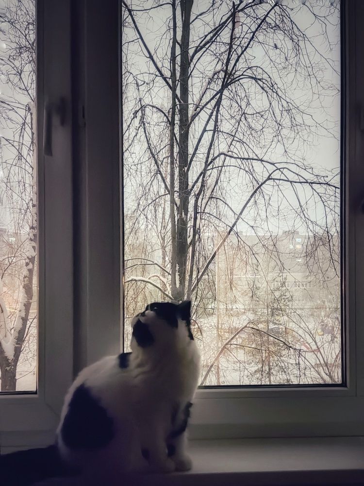 Photograph by Наталия Романова