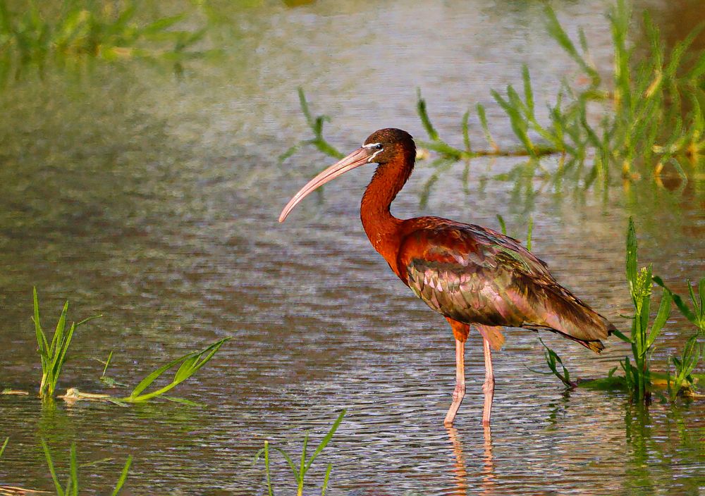 Photograph by Евгений Гонтов