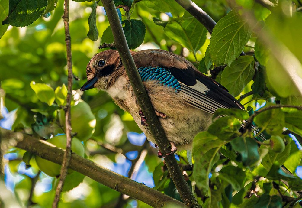 Photograph by Евгений Гонтов