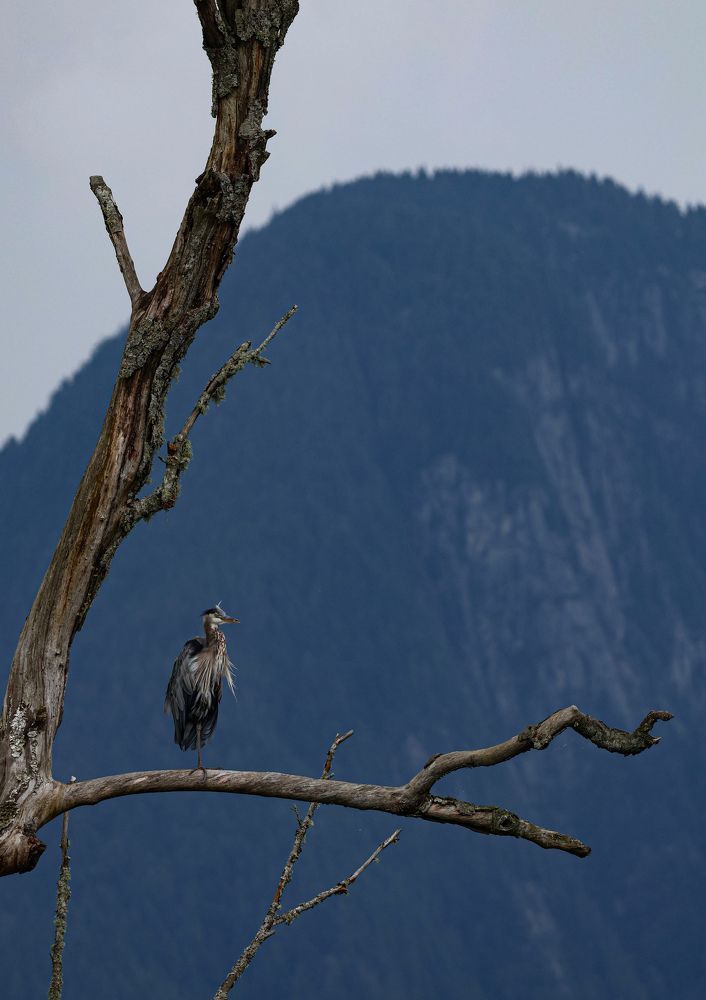 Photograph by Irina Sushkova