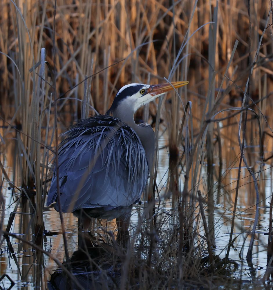 Photograph by Irina Sushkova