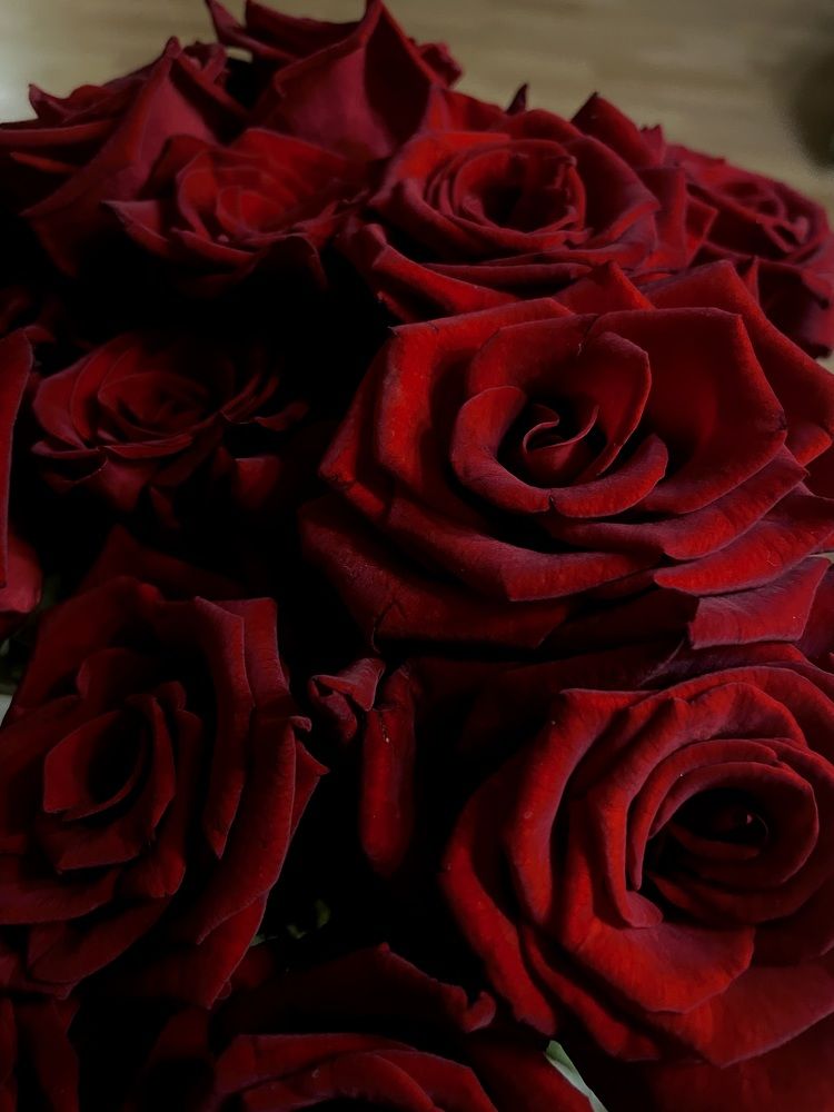 Photograph by Полина