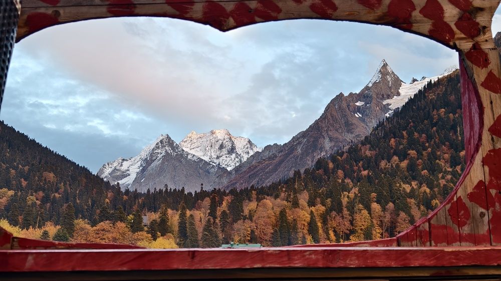 Фотография автора Светлана Зимина