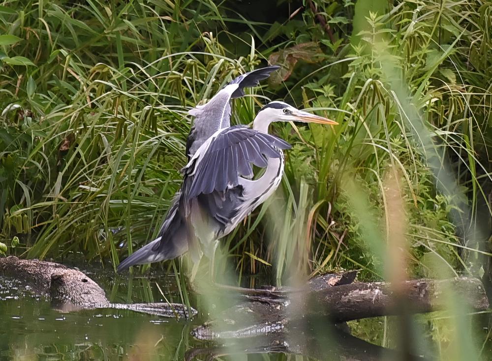 Photograph by Ekaterina Fadeeva