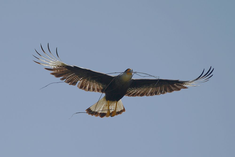 Photograph by Anna Perevozchikova