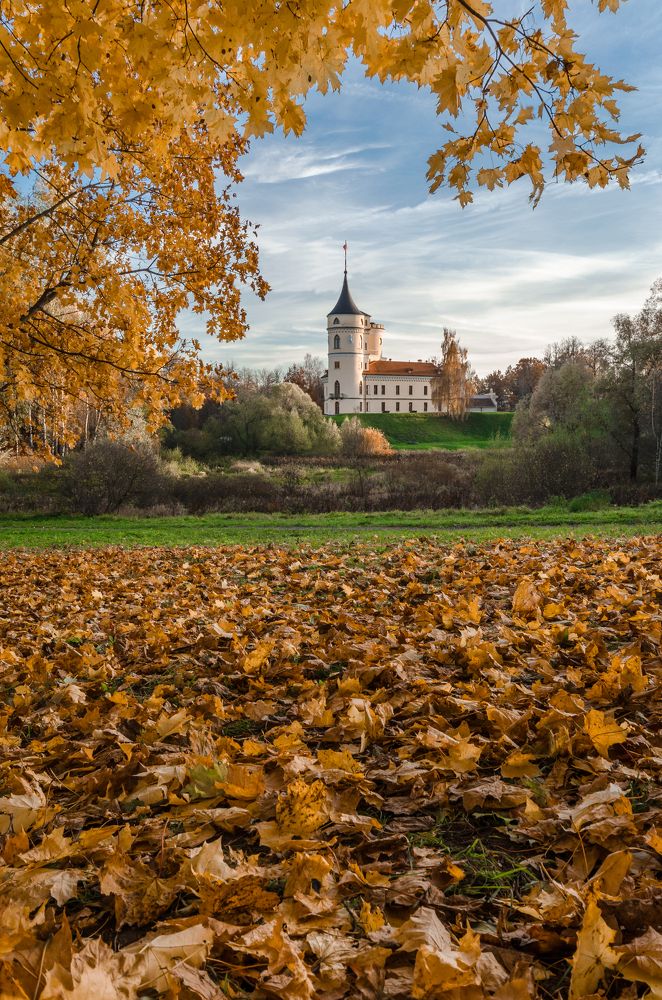 Photograph by Alexey S