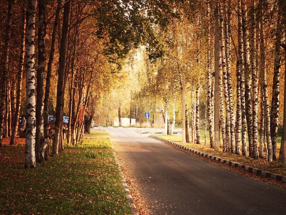 Photograph by Ekaterina Fadeeva