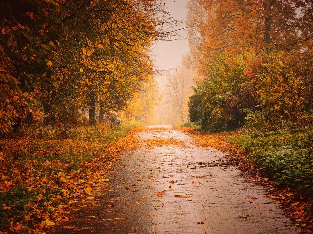 Photograph by Ekaterina Fadeeva