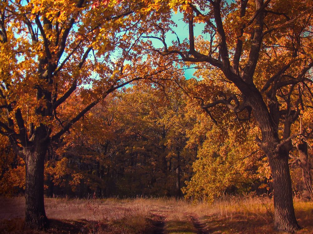 Photograph by Виктор Карпухин