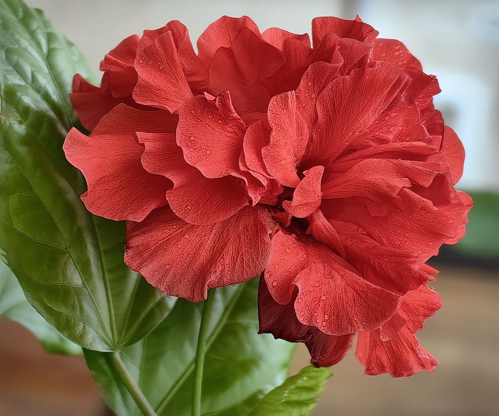 Фотография автора Кухта Мария