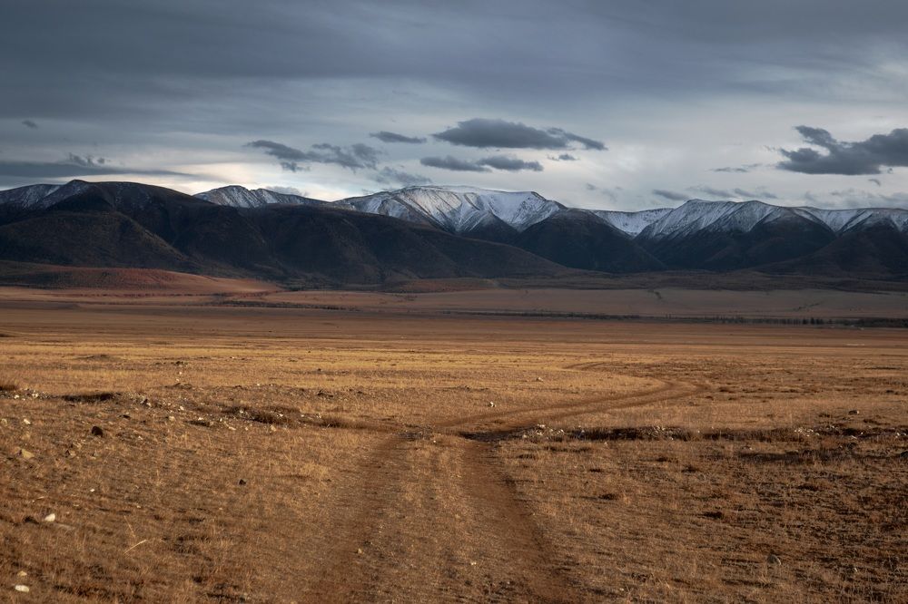 Фотография автора Антон Бразевич