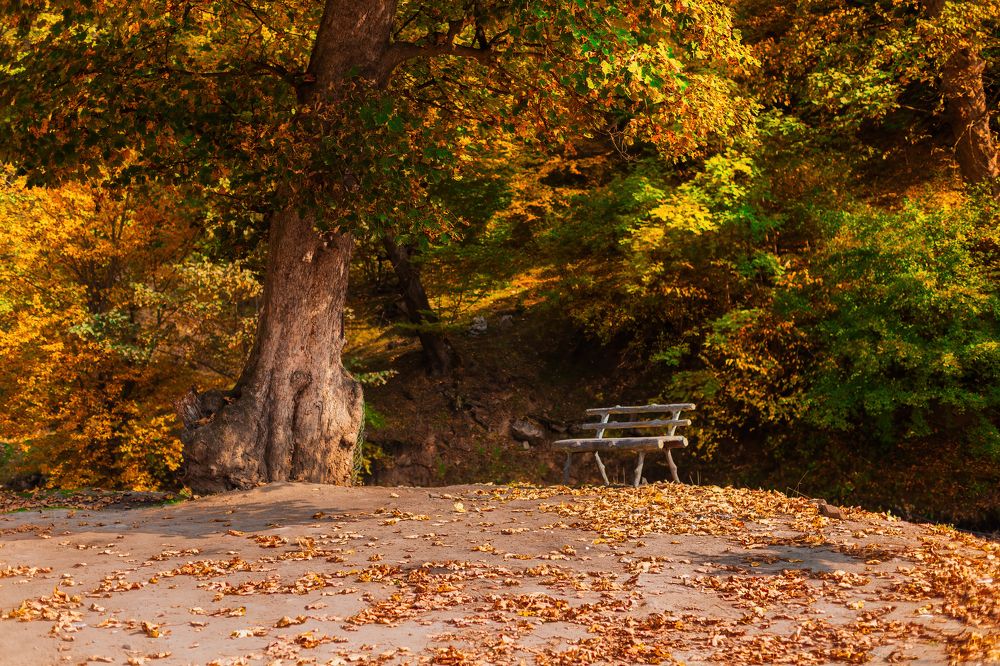 Photograph by Hamid espanani